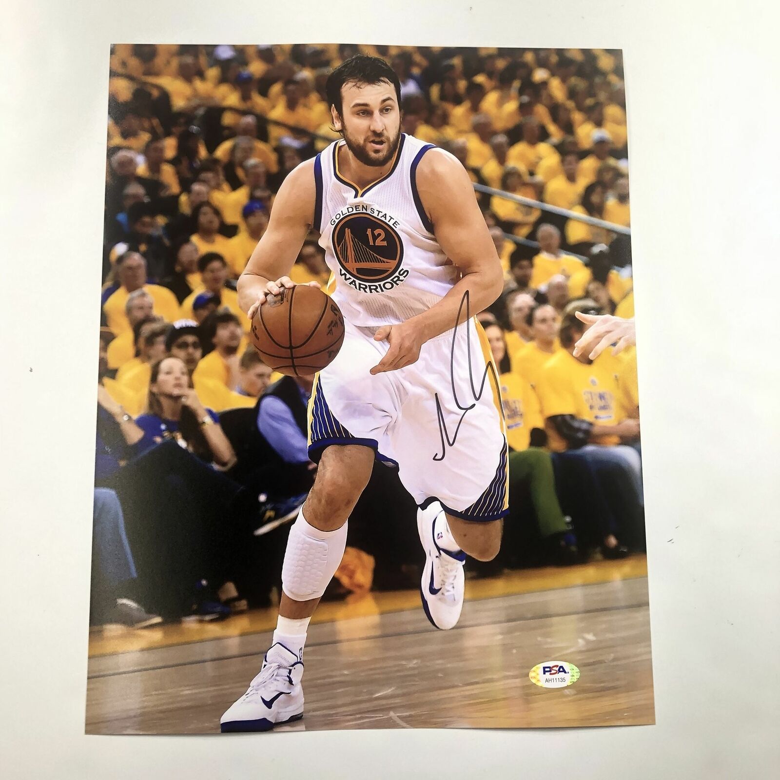 Andrew Bogut signed 11x14 Photo Poster painting PSA/DNA Golden State Warriors Autographed