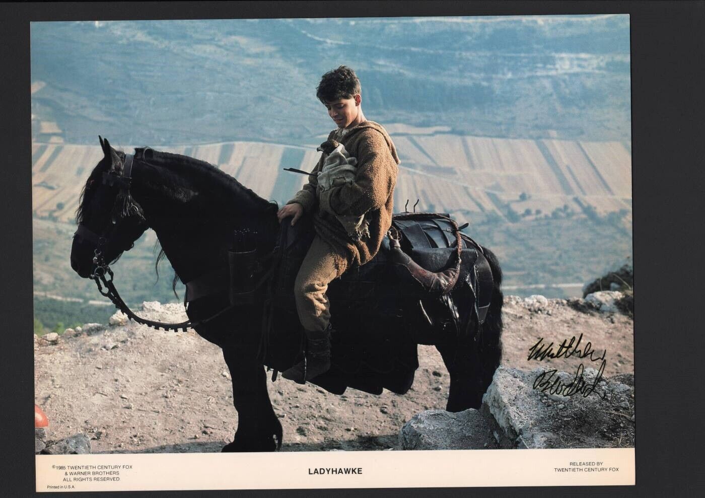 Matthew Broderich - Signed Autograph Lobby Card - Ladyhawke