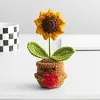 (Finished Product)Crochet Flower Potted Doll with Positive Card Desktop Ornaments, Potted Plants, Bouquets Gift Home Decor