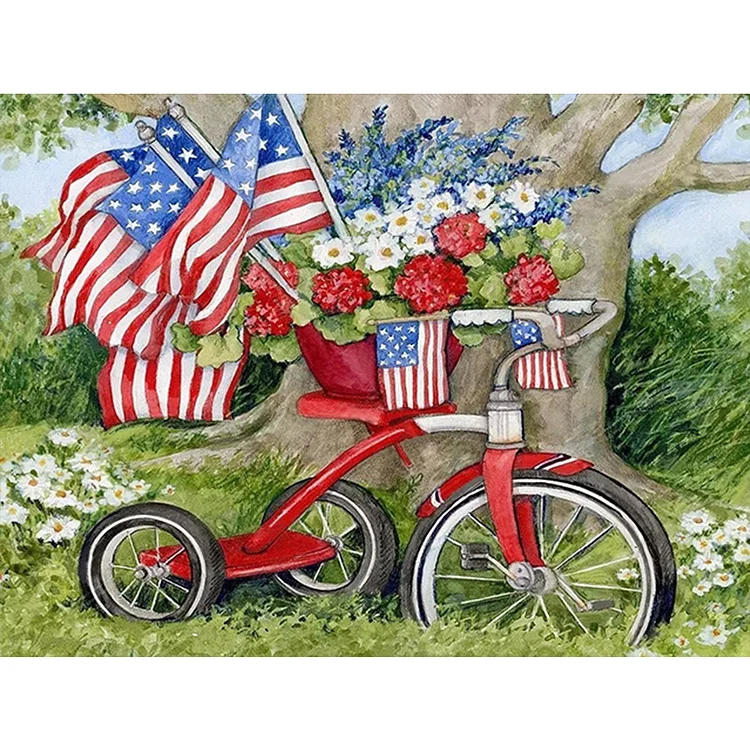 Bicycle Independence Day 40*30CM (Canvas) Full Round Drill Diamond Painting gbfke