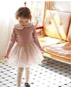 Kid Baby Girl Sparkle Lace Mesh Skirts Dresses