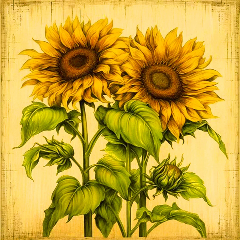 Diamond Painting - Full Round Drill - Sunflower(Canvas|30*30cm)