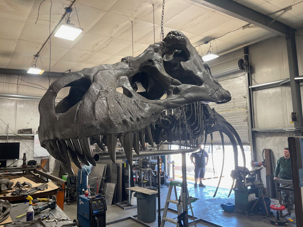 亚历克斯&middot;张伯伦在家庭仓库组装完成的巨型3D打印霸王龙头部模型