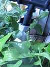 10/20M Garden Automatic Spray Watering Kits DIY Drip Irrigation System Tools