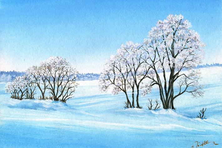 

Cool Trees – Paint By Numbers - 40*50CM, 501 Original