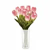 Twinkling Tree Tulips