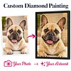 Custom Pet Diamond Painting Kit