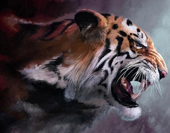 

Angry Tiger – Paint By Numbers - 40*50CM, 501 Original