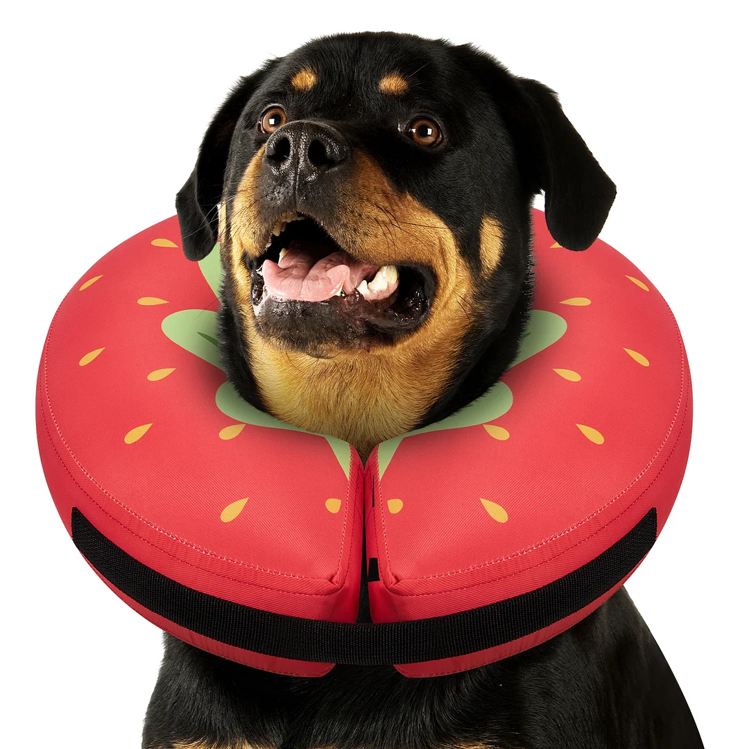 Dog Cone Collar After Surgery,Waterproof Fabric Comfy Pillow,Dog Cone Alternative,Inflatable Dog Collars E Collar Elizabethan Collar for Dogs(L)
