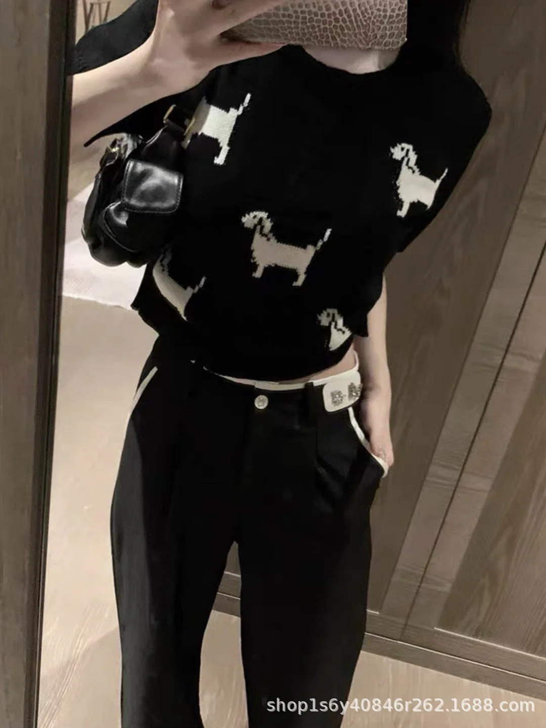 Nigikala Nigikala Puppies With Short-Sleeved Round-Neck Knitted Jersey Women 24 Spring And Summer New Age-Reduced Short-Sized T-Shirt Tops