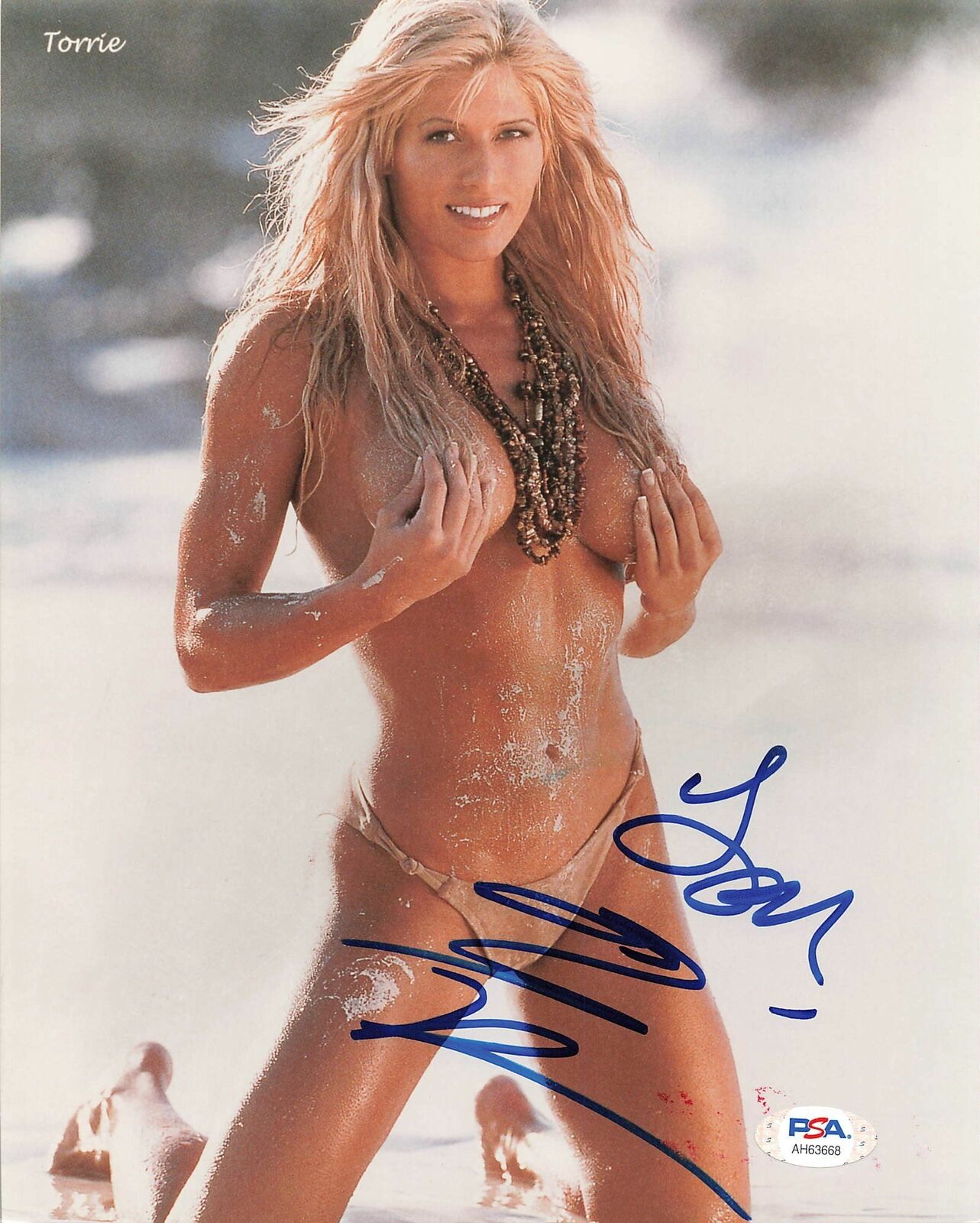 Torrie Wilson signed 8x10 Photo Poster painting PSA/DNA COA WWE Autographed Sexy