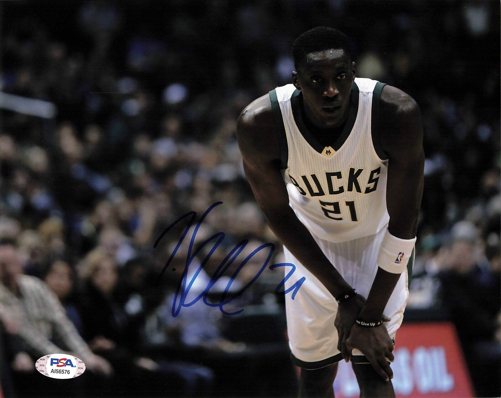 Tony Snell signed 8x10 Photo Poster painting PSA/DNA Milwaukee Bucks Autographed