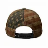Unisex 250th Anniversary USA 1776 American Flag Print Baseball Hat by Inlyline