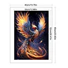 Colorful Phoenix-11CT Stamped Cross Stitch 40*60cm(Big Size)