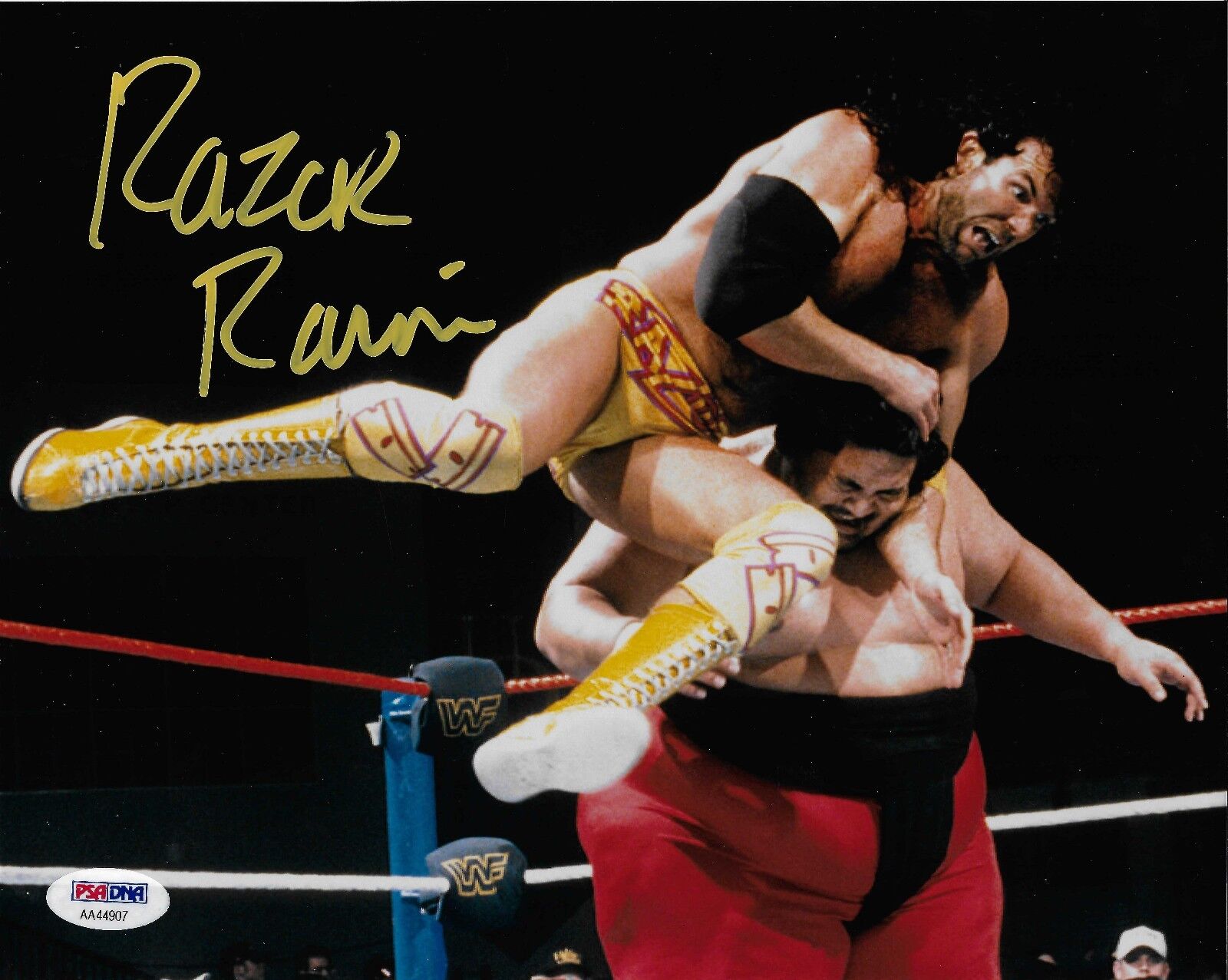 Razor Ramon Signed WWE 8x10 Photo Poster painting PSA/DNA COA Scott Hall Picture Autograph WCW 3