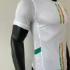 2025 Player Version Senegal Soccer Jersey Home