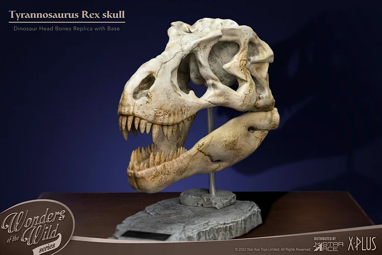PRE-ORDER STAR ACE Toys Wonder Wild T-Rex Head Skull Replica