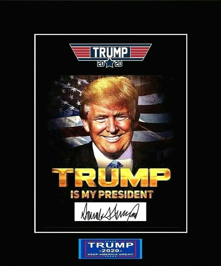 PRESIDENT DONALD TRUMP SIGNED AUTOGRAPH SIGNATURE 8.5X11 Photo Poster painting PICTURE REPRINT