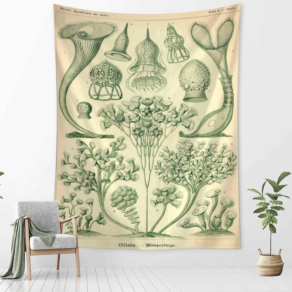 Starfish Conch Tarot Tapestry Wall Hanging Psychedelic Witchcraft Abstract Illustration Room Bedroom Home Decor