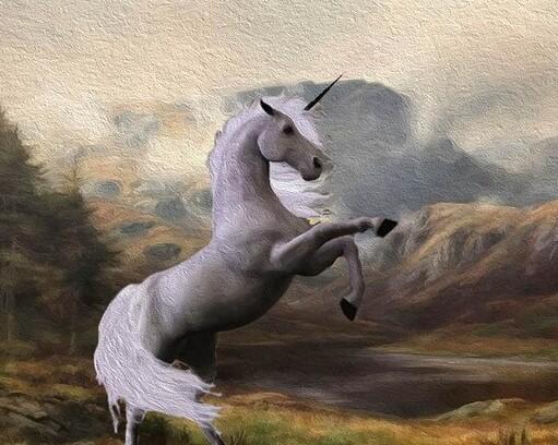 

Powerful Unicorn – Paint By Numbers - 40*50CM, 501 Original