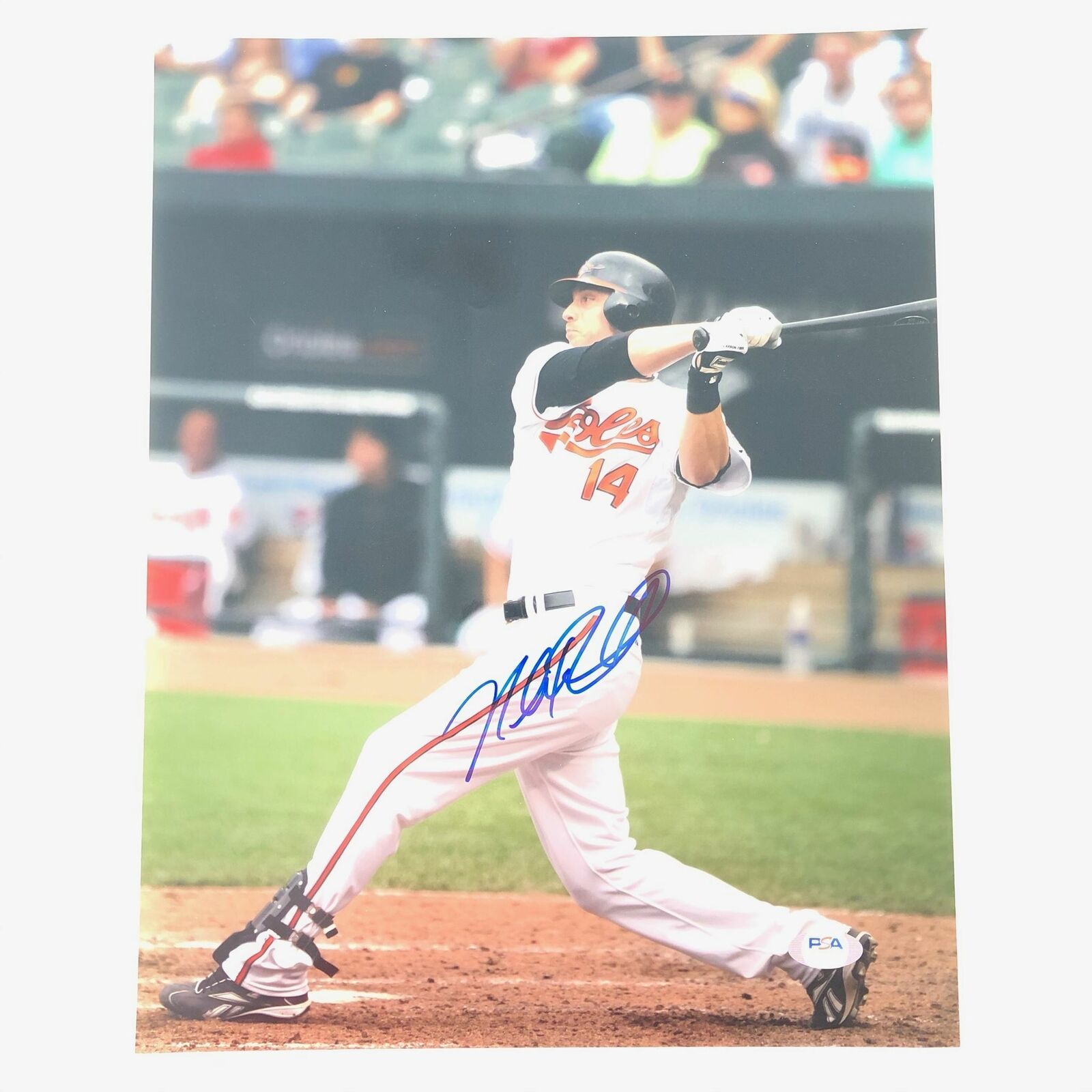 Nolan Reimold signed 11x14 Photo Poster painting PSA/DNA Baltimore Orioles Autographed