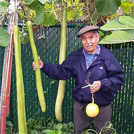 🔥HOT SALE🔥- 🍈Cucurbita kangua Li Jonyparkseed®