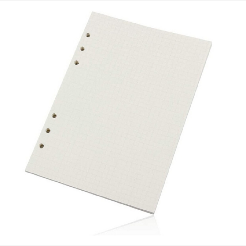 

2Sets A5 Inner Page Paper Notebook Notepad Inner Page Replacement Paper, 501 Original