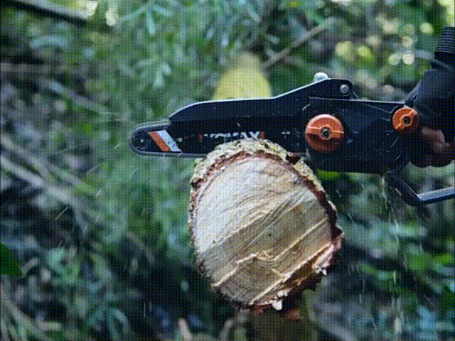 40CM的树_batch 00_00_00-00_00_30.gif