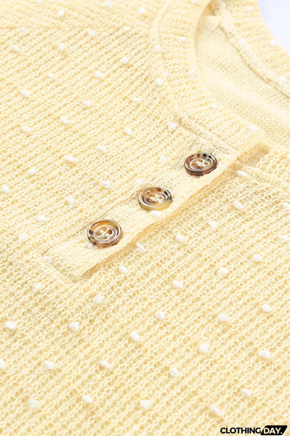 Swiss Dot Raglan Sleeves Knit Top