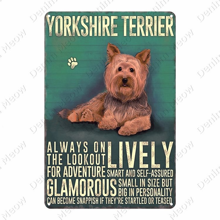 Dog - Yorkshire Terrier Lively Glamorous Vintage Tin Signs/Wooden Signs - 7.9x11.8in & 11.8x15.7in