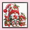 (US Only)Gnome Design DIY Bead Embroidery Kit 40x39cm 9CT Cross Stitch Kit for Home Decor