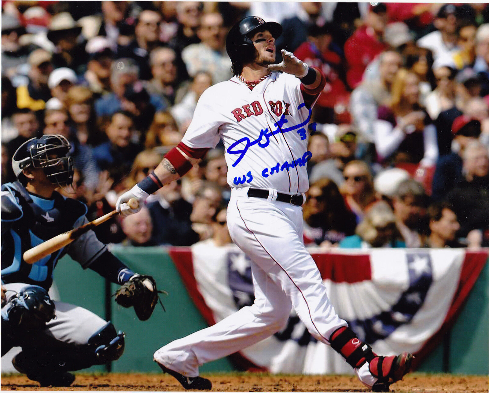 JARROD SALTALAMACCHIA BOSTON RED SOX WS CHAMPS ACTION SIGNED 8x10