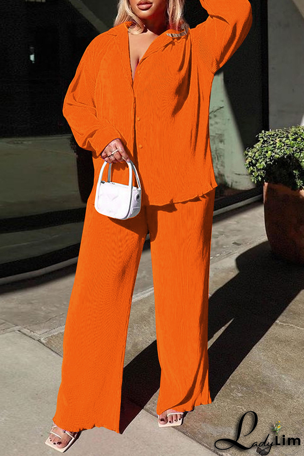 Blue Casual Solid Patchwork Turndown Collar Long Sleeve Two Pieces