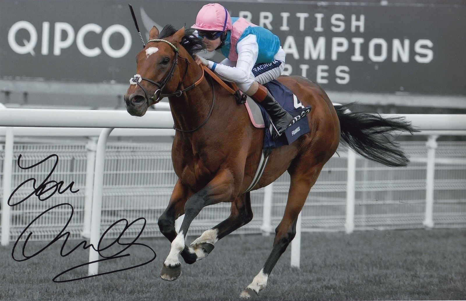 TOM QUEALLY - FRANKEL AUTOGRAPH SIGNED PP Photo Poster painting POSTER