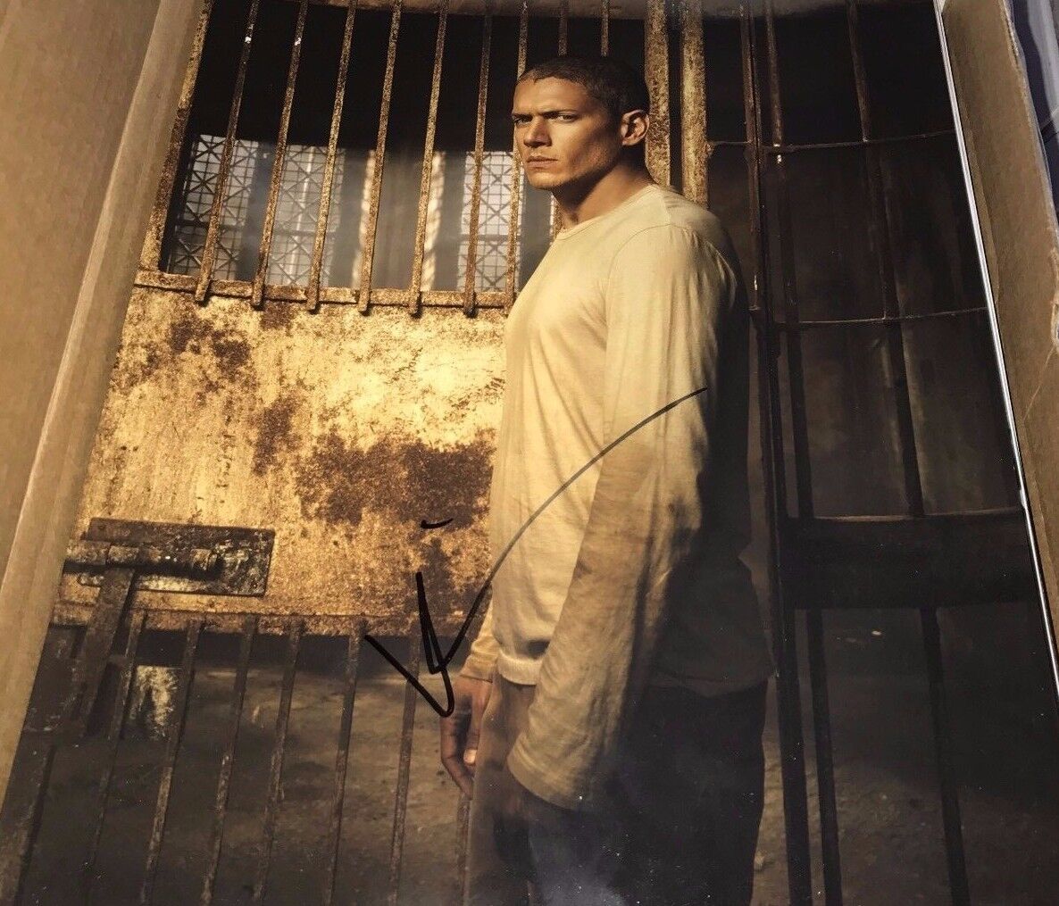 Wentworth Miller Prison Break Hand Signed 11x14 Photo Poster painting Autographed COA