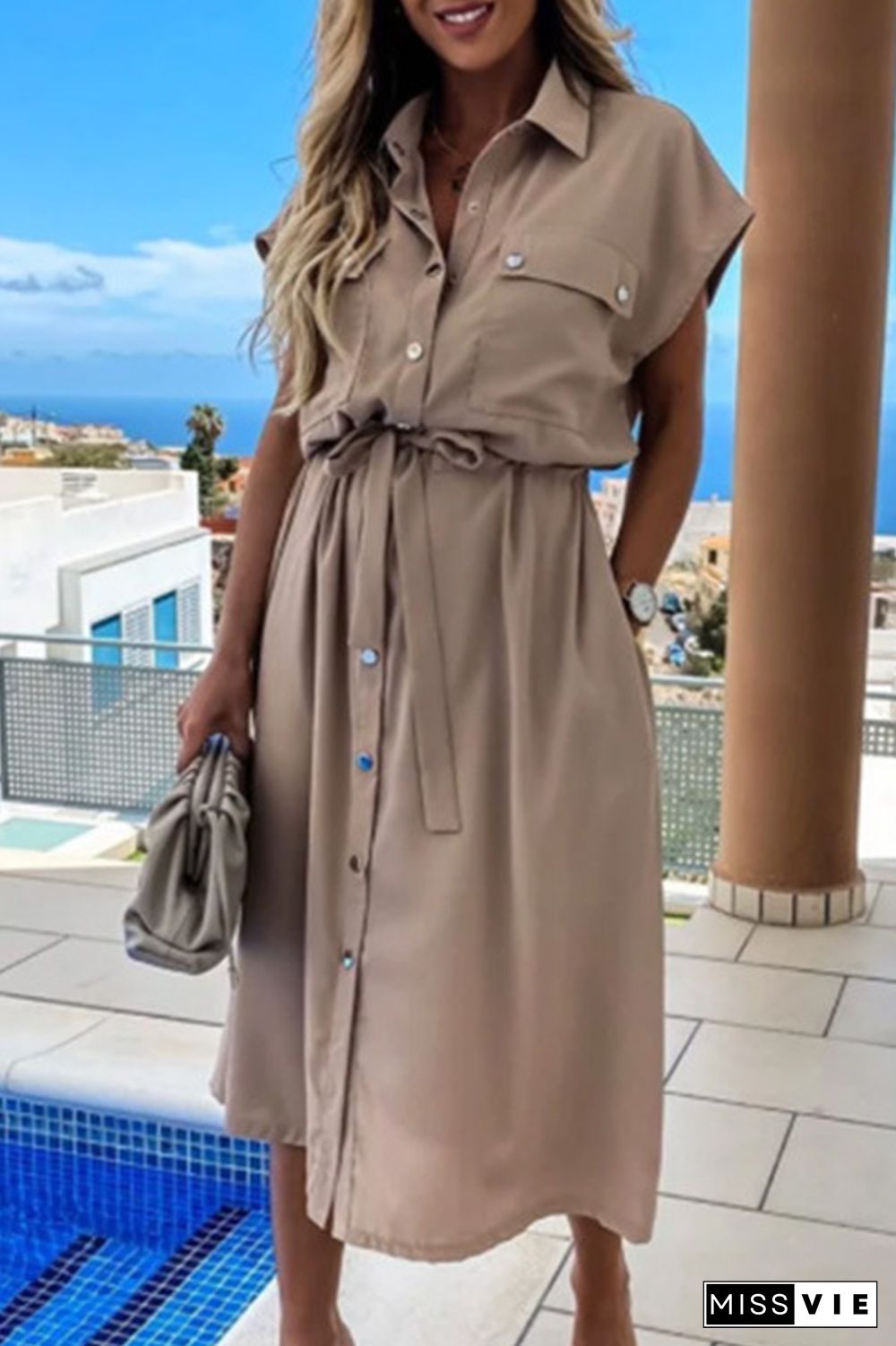 Fashion Elegant Solid Frenulum Buckle POLO collar A Line Dresses(3 colors)