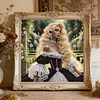 Rococo Garden Lady Special Shaped DIY Partial Drill Diamond Painting Kit for Adults Beginners Home Decor Diamonds Paintings Gem Art 30x30cm