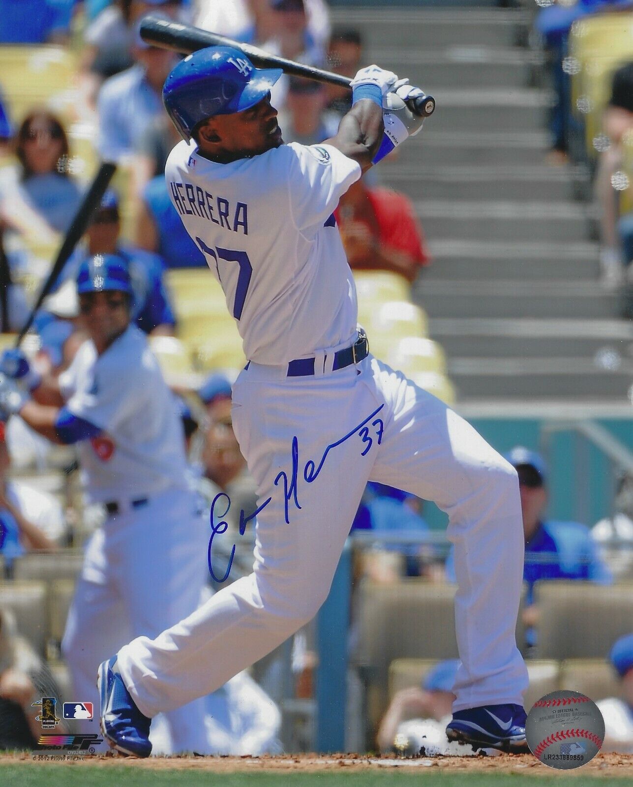 Autographed ELIAN HERRERA Los Angeles Dodgers 8x10 Photo Poster painting w/ COA