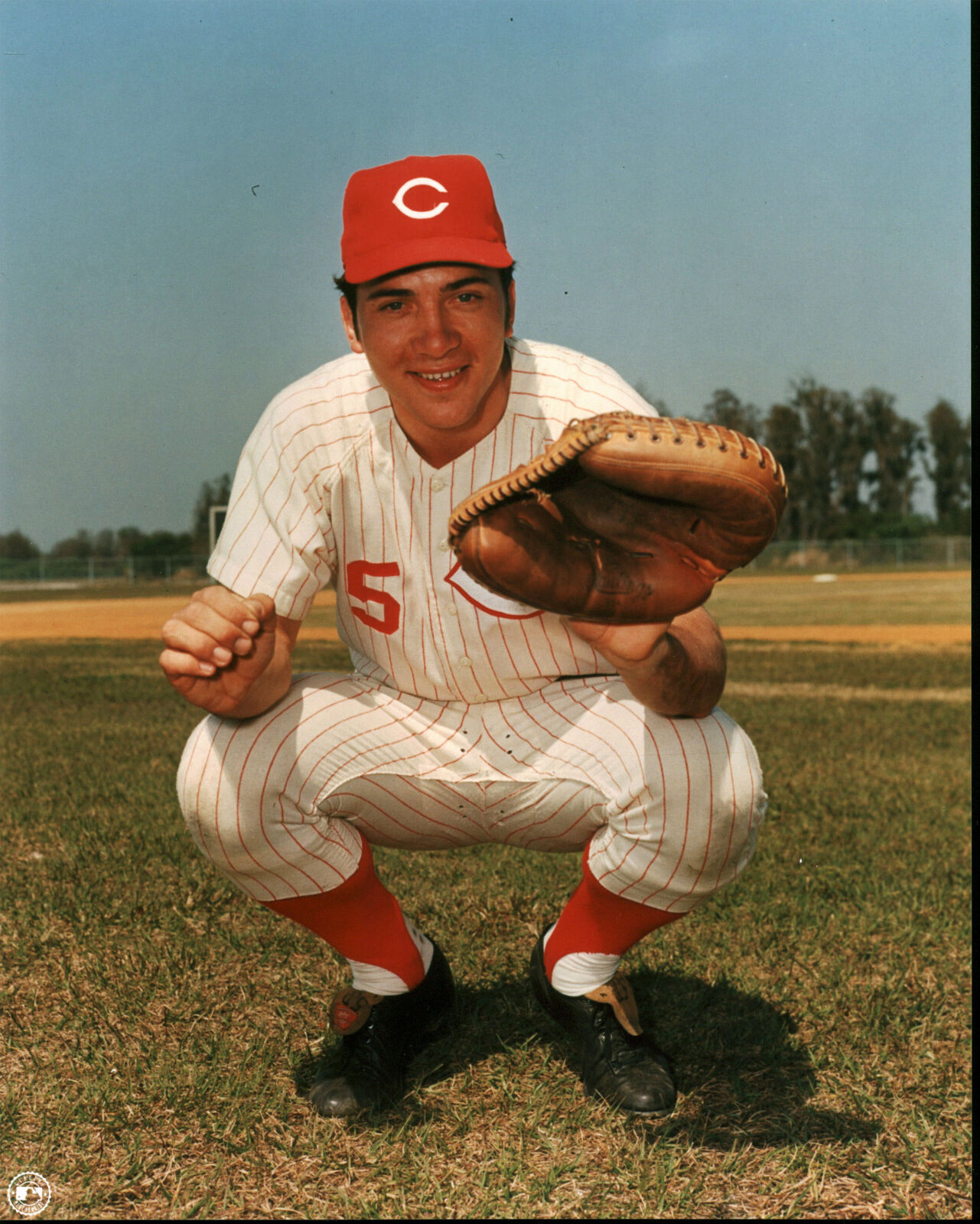 Reds Johnny Bench 8x10 Photo Poster paintingFile Crouching Photo Poster painting Un-signed