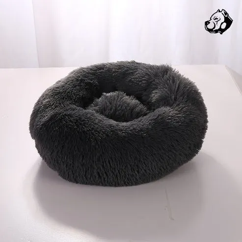 Calming Bed