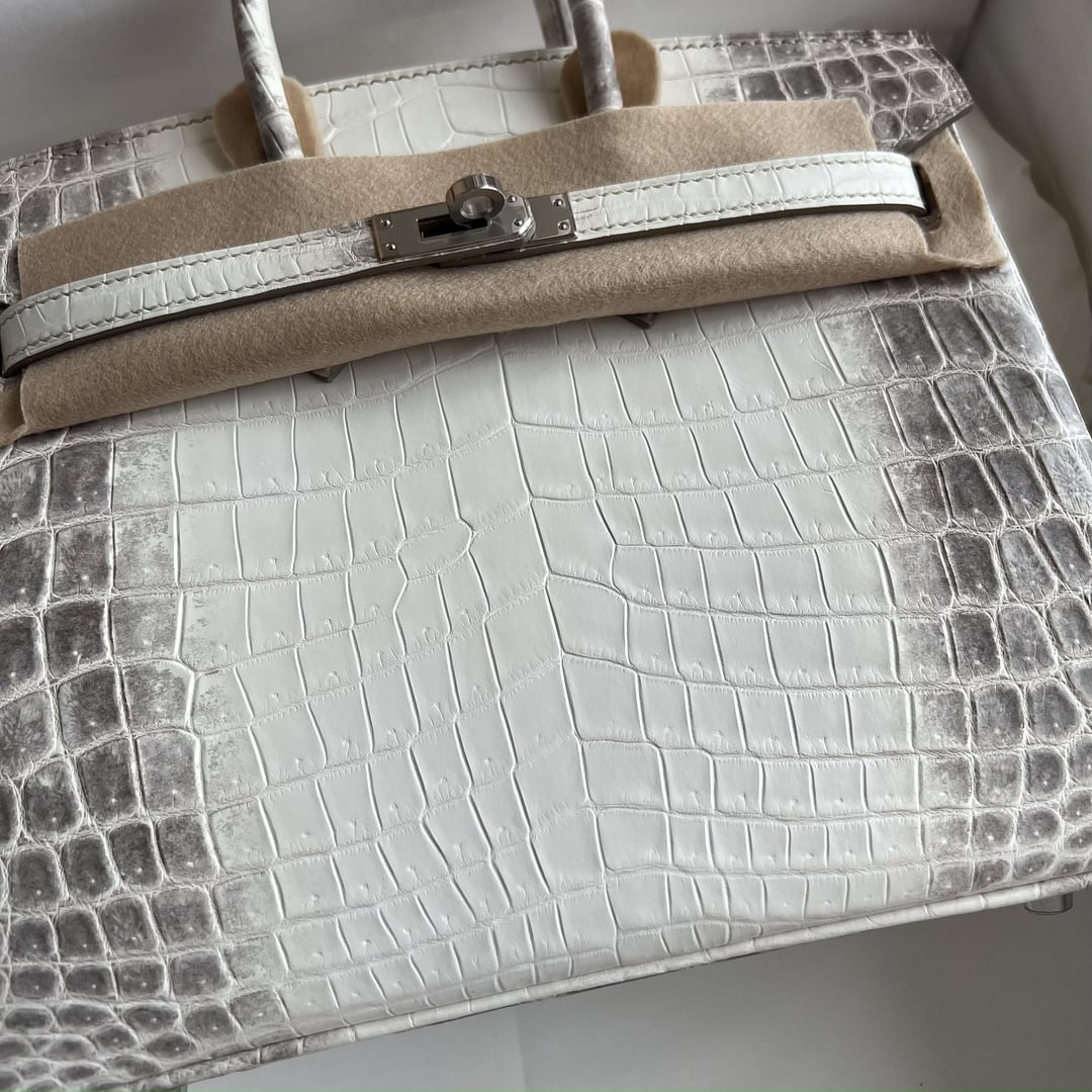 Birkin 25cm Matte Niloticus Crocodile  01 Himalaya PHW