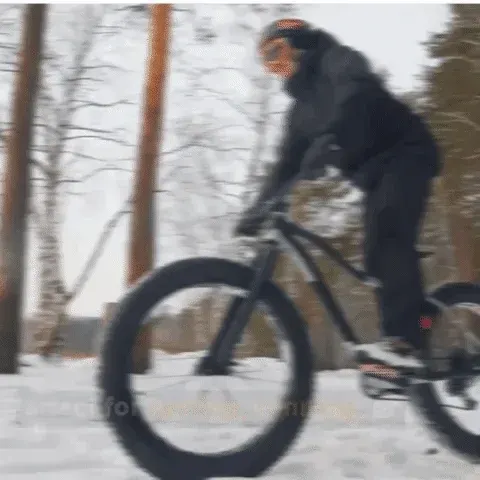 Gloves worn for outdoor activities