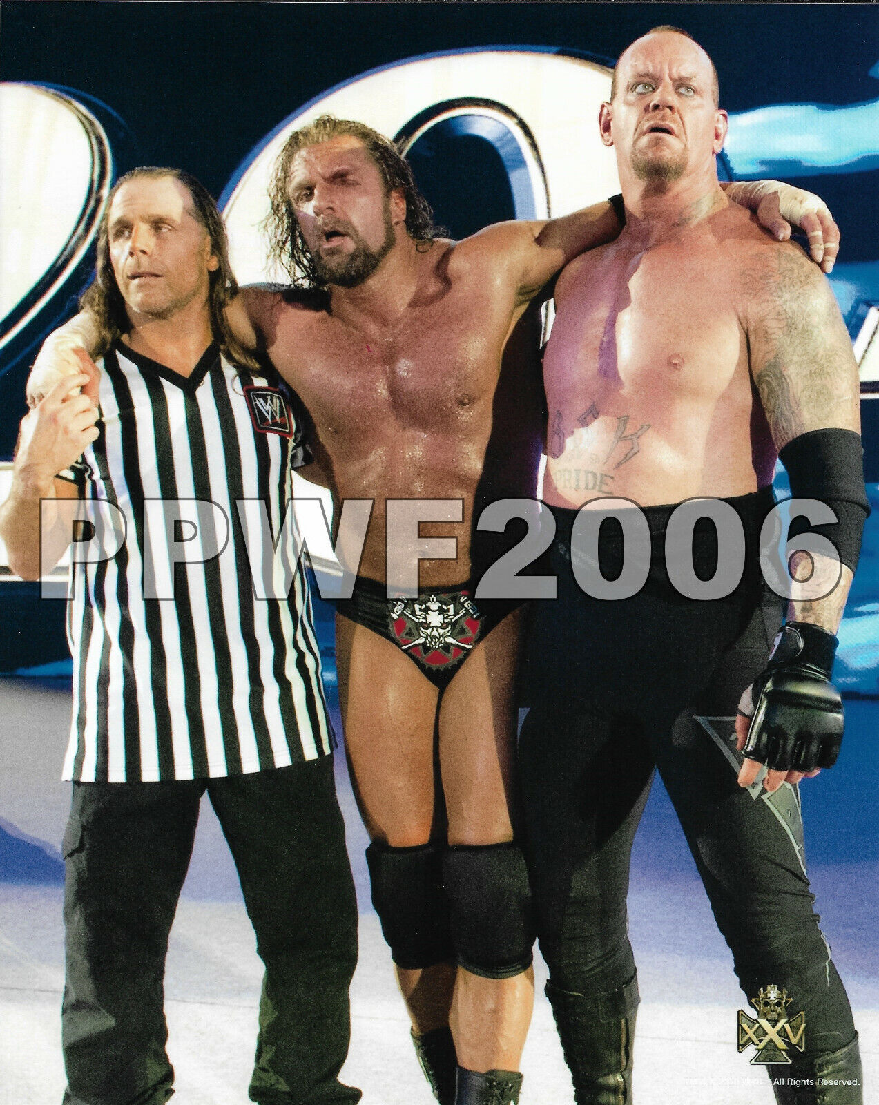 WWE TRIPLE H 25TH ANNIVERSARY LIMITED EDITION OFFICIAL LICENSED 8X10 Photo Poster painting 24