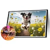 5D DIY Full Round Drill Diamond Painting Dog Kit Home Decoration (A7064)