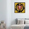 Fußball Dynamo Dresden - Rundbohrer Diamond Painting - 40*40CM