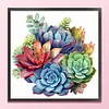 Succulent-18CT Stamped Cross Stitch 25*25cm/9.84*9.84in tapestrymarket