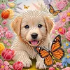 DIY Special Shaped Drill Diamond Painting Kit Framed - Puppy