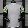Joyfball 2026 Player Version Nigeria Away Football Jersey（The player version jersey is a bit tight, please pay attention to the size selection）