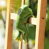 Cute Hanging Solar Frog