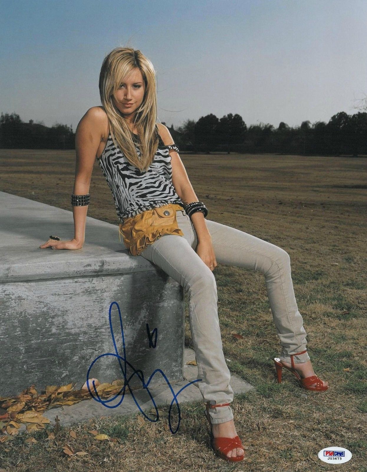 Ashley Tisdale Signed Authentic Autographed 11x14 Photo Poster painting (PSA/DNA) #J03673